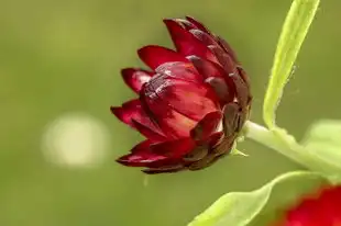 射手座男今日财运，揭秘射手座今日运势中的财富秘密，射手座男今日财运