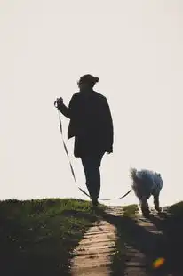 巨蟹座性格特征分析，温柔守护者的真实面貌，巨蟹座性格特征分析