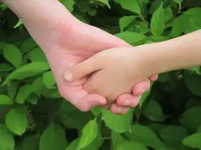 脚底厚的男人运势，揭秘财富与健康的奥秘，脚底厚的男人运势