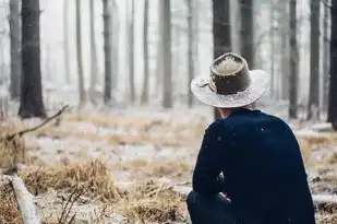 双子座男生脾气的多面性，理性与冲动的完美结合，双子座男的脾气