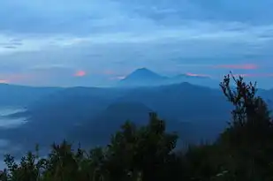 十二星坐运势，揭秘每个星座的专属命运与爱情运，十二星坐运势