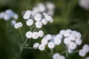 双子座女生的独特特点与性格特点，双子座女生特点和性格特点