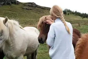 狮子女放下前任需要多久，情感疗愈的漫长旅程，狮子女放下前任需要多久