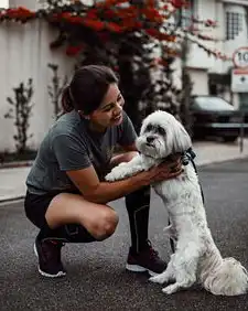 2020年女狗运势，乘风破浪，运势亨通的一年，2020年女狗运势