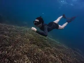 梦见在江里游泳，彼岸花的呼唤与自我救赎的航行，梦见在江里游泳