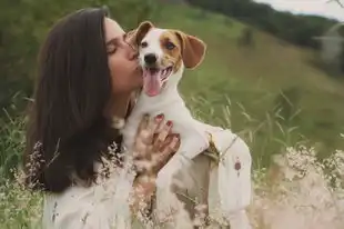 女人梦到狗，是胎梦吗？解读梦境中的隐喻，女人梦到狗是胎梦吗