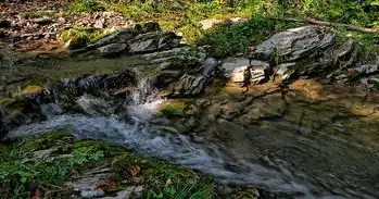 梦境中的甘泉，泉水象征的深层解读，梦见泉水