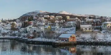 梦境中的日本之旅，穿越时空的奇幻旅程，梦见在日本旅游