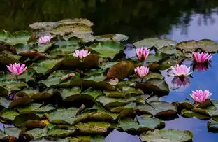 五行土配土，探寻五行相生相克的奥秘，五行土配土