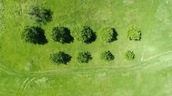 纳音五行算命，揭秘一生运势的神秘面纱，纳音五行算命看一生