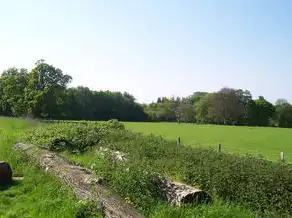 梦回土铺路，探寻心灵深处的诗意远方，梦见土铺路