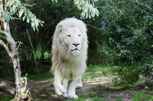 天蝎座今日打牌财运方位指南，天蝎座今日打牌财运方位