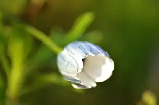 射手座今日财运方位查询，洞察星象，把握财富机遇，射手座今日财运方位查询