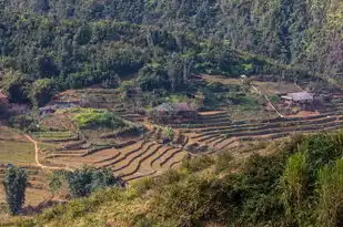 城五行属土，探寻城市与土地的深厚联系，城五行属土