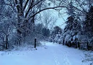 梦回雪域，落雪纷飞中的诗意时光，梦见落雪