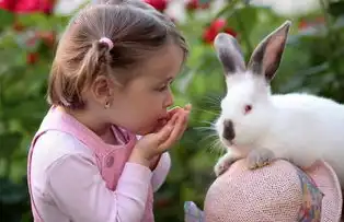 狮子座女生魅力绽放，揭秘最佳配对星座！，上升狮子座女生最佳配对