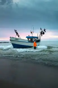 梦中海浪的呼唤，一次心灵深处的海洋之旅，梦见在海浪