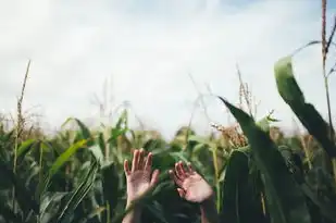 梦境中的绿蛇追逐，内心的挣扎与启示，梦见被绿蛇追