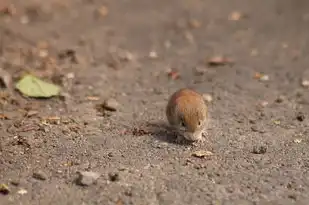 属猴天秤座男生的性格特点，属猴天秤座男生的性格特点