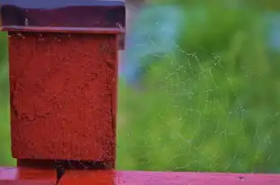 梦见下大雨的意义与内涵，梦见下大雨什么意思