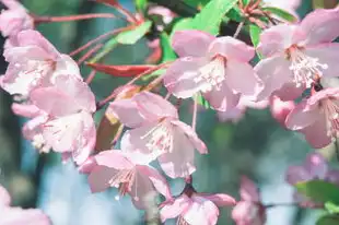 十二生肖蛇年运势大揭秘，蛇舞九天，财运亨通，福禄双全！，十二生肖蛇年运势