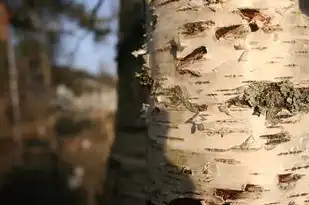 梦见木佛像，一种深层的心理映射与人生启示，梦见木佛像