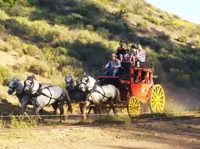 梦中亲人遭遇车祸，是预示还是巧合？梦见亲人撞车