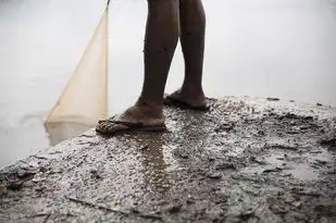 梦见男士拖鞋，潜藏的性别认知与日常生活的微观映射，梦见男士拖鞋