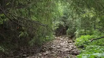 梦见走稀泥路，神秘的梦境解读与心灵启示，梦见走稀泥路