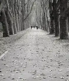 梦见走稀泥路，神秘的梦境解读与心灵启示，梦见走稀泥路