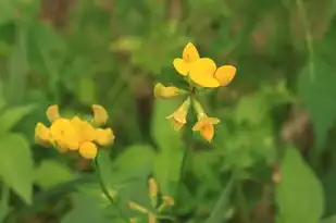 梦境中的阴影，揭秘梦见憎人的心理密码，梦见憎人