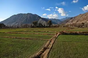 梦中奇景，一场奇特的自然景观之旅，梦见奇特的自然景观