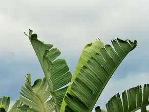 五行水生土，自然之力的和谐共鸣，五行水生土