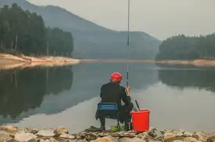 梦境奇遇，钓鱼竟钓到鸡，梦见钓鱼钓到鸡