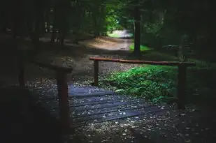 鲁的五行属性探析，鲁的五行属性是什么