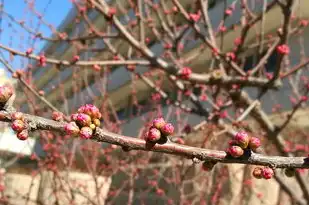 探寻兴五行属，五行相生相克中的兴运之道，兴五行属