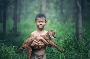 狮子男魅力全开，揭秘狮子座男生最好的性格特质，狮子座的男生什么样的性格最好