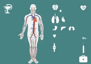 医疗行业五行属性，探索健康与疾病的互动关系，医疗行业五行属性