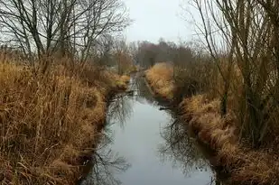 梦回路上，遇见水的寓言，梦见路上有水