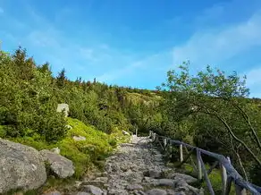 梦中之山，一场心灵之旅，梦见登大山