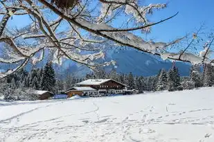 梦见白色雪，纯净与神秘的夜晚之旅，梦见白色雪