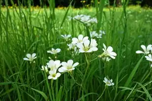 摩羯座今日运势查询——女生版，摩羯座今日运势查询女