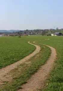 梦境中的麦田地，穿越时空的绿色幻想，梦见麦田地