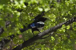 周公解梦，死鳝鱼预示着怎样的吉凶？周公解梦 死鳝鱼