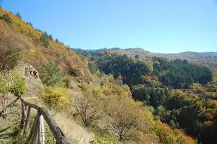 梦见刮土，揭示潜藏的自我挖掘与成长之路，梦见刮土