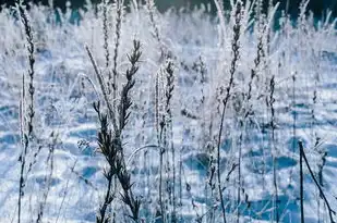 雪之五行属性解析，雪的五行属什么