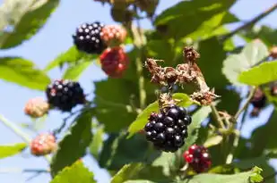 水瓶座杀气太重，探究性格背后的深层含义，水瓶座杀气太重