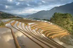 五行之土，厚德载物，生生不息，五行为土