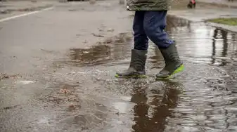 梦见下雨后，心灵深处的宁静与重生，梦见下雨后