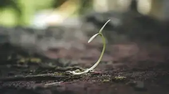 土的五行，解读中华传统文化中的土地之力，土的五行